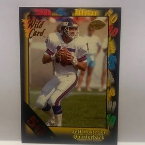 1991 Wild Card 50 Stripe Jeff Hostetler Giants #141 (009)